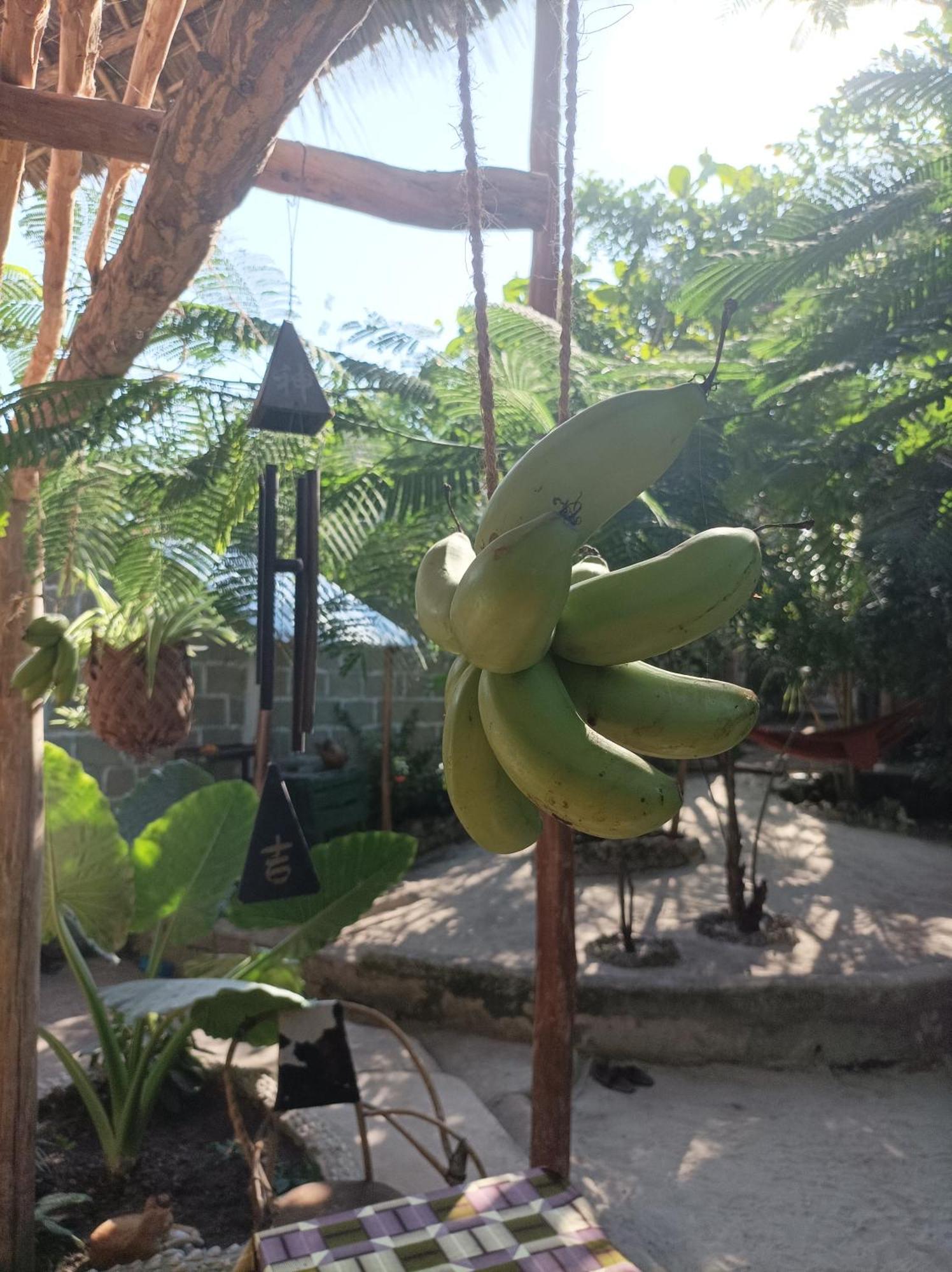 Mamarasta Bed & Breakfast Bwejuu Exterior photo